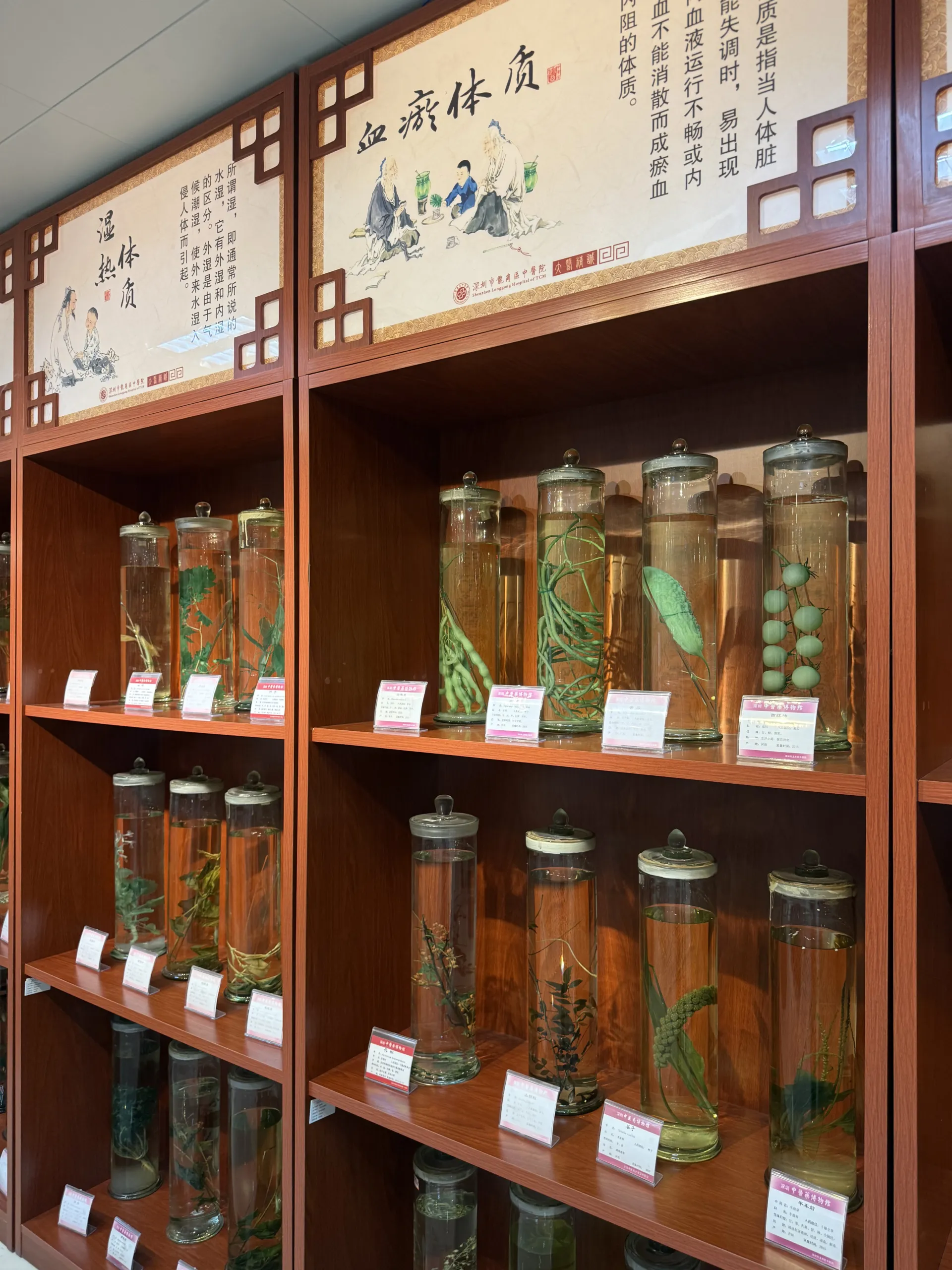 I went to Shenzhen China to learn about herbal medicine and got to see their medical tech.